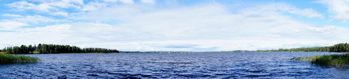 meer